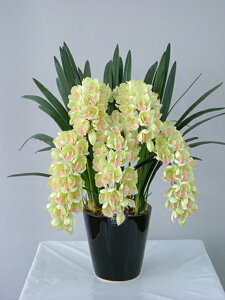 VrW[@O[@STCY@5{ G}A[gt[iԁj 蕨E̓EVzjEJXjEaELOEƎEwEMtgEΕENɁysmtb-sz