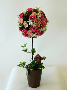 G}iԁj gsA[t[iLTCYjsN@Ԃ̕ŁAƂĂ킢gsA[łB蕨E̓EVzjEJXjEaELOEƎEwEMt