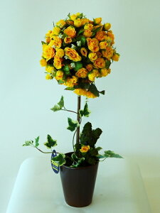 G}iԁj gsA[t[iLTCYjCG[@Ԃ̕ŁAƂĂ킢gsA[łB蕨E̓EVzjEJXjEaELOEƎEwEMt