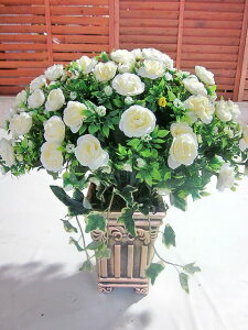 ؂ȌG} A[gt[ AW E^Cv  C@  AW ̓ CeA 蕨 Mtg a LO JXj G}