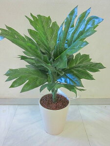 G} ϗtA  p̖ A[gt[  ~j C@ CeA Mtg v[g 蕨 a LO JXj