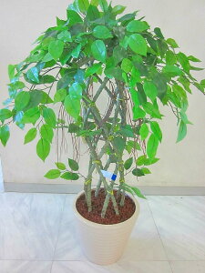 G} ϗtA  xW~ ҂ A[gt[  ~j C@ CeA Mtg v[g 蕨 a LO JXj