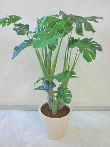 光触媒 観葉植物 造花 モンステラ アートフラワー 送料無料 ミニ 空気清浄機 インテリア ギフト プレゼント 贈り物 お誕生日 記念日 開店祝い