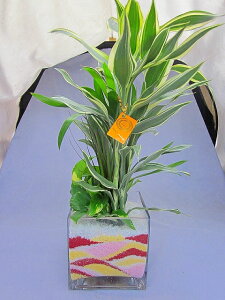 nChJ`[ϗtA@}to[W@XNGA15@fGȃNX}Xo[W̊Ԍ̔fUCłBCeAMtgA蕨ɃIXXłysmtb-sz