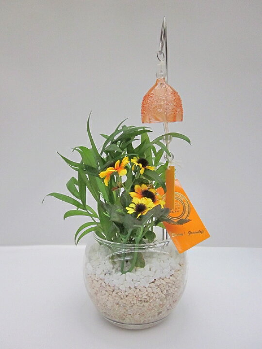 独創的 ハイドロカルチャー 観葉植物 サンゴ砂 バブ10 テーブルヤシ 水耕栽培 お中元 お歳暮 母の日 プレゼント ギフト 敬老 インテリア プランツ 贈り物 誕生日 Rmladv Com Br 独創的 ハイドロカルチャー 観葉植物 サンゴ砂 バブ10 テーブルヤシ 水耕栽培 お中元 お歳暮 母の日 プレゼント ギフト 敬老 インテリア プランツ 贈り物 誕生日 Rmladv Com Br
