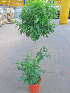 xW~ 10 X^h ϗtA A xW~i V_KW} xW~S ̔  CeA 蕨 Mtg a LO JXj