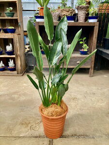 Xg`A Ml 8 픫 ϗtA X^CbV A c ][g 썑  Ε ̓ v[g Mtg hV CeA vc 蕨 ay05P01Mar15z