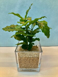 nChJ`[ ϗtA XNGA10 R[q[ TS k͔|  Ε ̓ v[g Mtg hV CeA vc 蕨 a