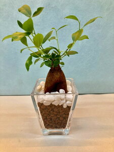 nChJ`[ XNGA MTCY nCh{[ KW} k͔| ϗtA  Ε ̓ v[g Mtg hV CeA vc 蕨 a TS  