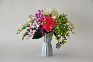 ؂ȌG}AWiԁj 蕨EMtgE̓EVzjEJXjEaELOEƎEw G}Ԃ̍Yi 24Ԍʎ̃_uR[eBOysmtb-sz