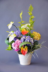 ؂ȌG}AWiԁj 蕨EMtgE̓EVzjEJXjEaELOEƎEw G}Ԃ̍Yi 24Ԍʎ̃_uR[eBOysmtb-sz