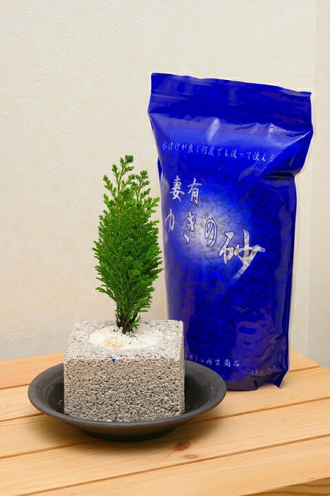 楽天市場】ゆきの砂 1kg 10個セット ペットボトル再生原料を使用した  