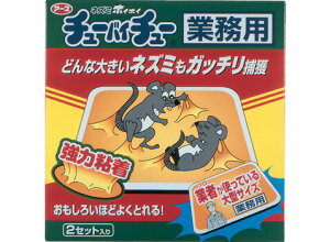 y3Zbgz lY~zCzC `[oC`[ Ɩp 2Zbg×3Zbg yKiz