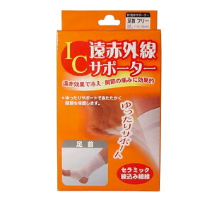 nVEjbg ACV[ ԊOT|[^[ (1)yKiz