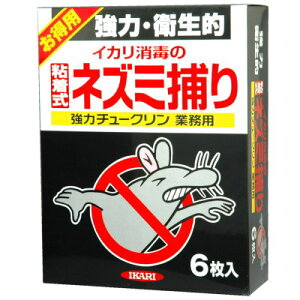 y5Zbgz ̓`[NƖp 6×5Zbg yKiz yoriz