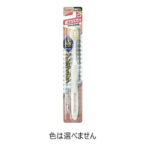 GrX Ƀv~APA ɏӂ 炩(1{)yKizymorzy㔭܂ł2TԑO㒸Ղꍇ܂z