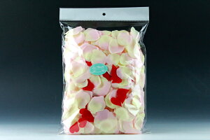 EFfBOACe@n[gCt[V[@p[eB[TCY@sN@1(780)@N[|ps