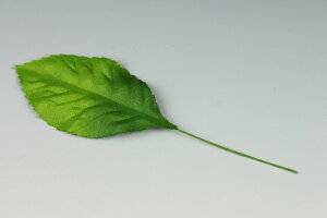 �z�ԁE�A�[�g�t�����[�p���[�t �o�����[�t �T�e���{�J�V 10������y�l�R�|�X�zArt Flower Various Leaves Rose Leaf, Satin, Gradation, 10 Pieces