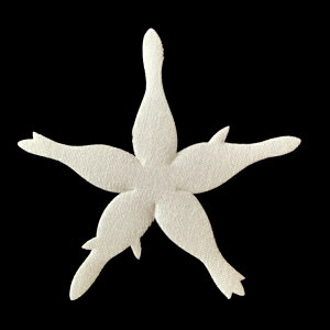 �z�ԁE�A�[�g�t�����[�p������1396TM �K�N���ヂ�����ŌЖ�60mm×��55mm 50������y�l�R�|�X�zArt Flower Cutout Petals 1396TM Forget-me-not Petal, Superfine Momen(Cotton), Hard, 60mm×55mm(Approx.), 50 Pieces