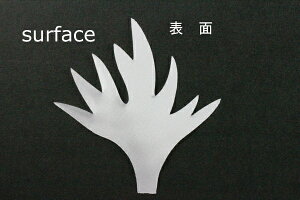 zԁEA[gt[pSA-1268GS All[tS[hTeŌЖ65mm×65mm 50ylR|XzArt Flower Cutout Petals SA-1268GS Anemone Leaf, Gold Satin, Hard, 65mm×65mm(Approx.), 50 Pieces