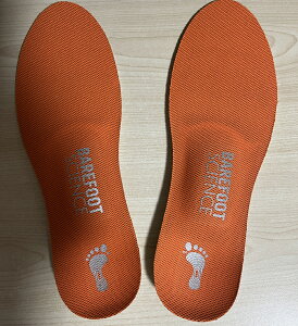 y󂠂菤izBAREFOOT SCIENCE6iKt^Cv@C\[{MTCY1`6iKA[`ubN