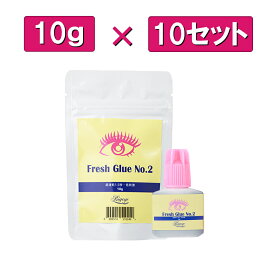 【お得な10点セット】フレッシュグルー NO2 10g まつげエクステ グルー マツエク グルー 速乾 持続性抜群 スキルアップ サロン プロ アイリスト 向け アルミチャック 保存袋 パウチ 乾燥剤 穴あけ ピン付き ボリュームラッシュ シングルラッシュ