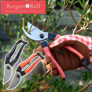 �p���u�����h Burgon & Ball �o�C�p�X������ �l�C�r�[ ���b�h MAX25mm ����΂��� ����͂��� ����n�T�~ �}�؂΂��� �A���� ���|�p �M�t�g