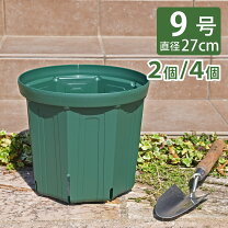 楽天市場】スリット鉢 csm-270の通販