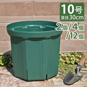KANEYA �X���b�g�� 10�� ���a30cm ���X�O���[�� 2�� 4�� 12��(1�P�[�X)�Z�b�g �v���X�`�b�N�A�ؔ� CSM-300 ����Y��