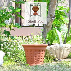 �E�B�b�`�t�H�[�h �V�F�� �|�b�g ���a23cm ��7.5���� Whichford �p�����A�ؔ� �C�M���X