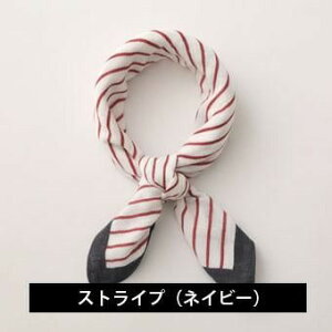 ЂRbgK[[XJ[t Rbg100% ł܂Ȃۗܕt ЂK M ҏ ΍Mtg v[g 蕨y`OX֔ z