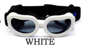 ڂی 킢^pS[O hbOS[O pTOX ybgS[O LbgS[O O΍ Ԑ΍  gCv[h ~j`A_bNX V[Y[ r[O