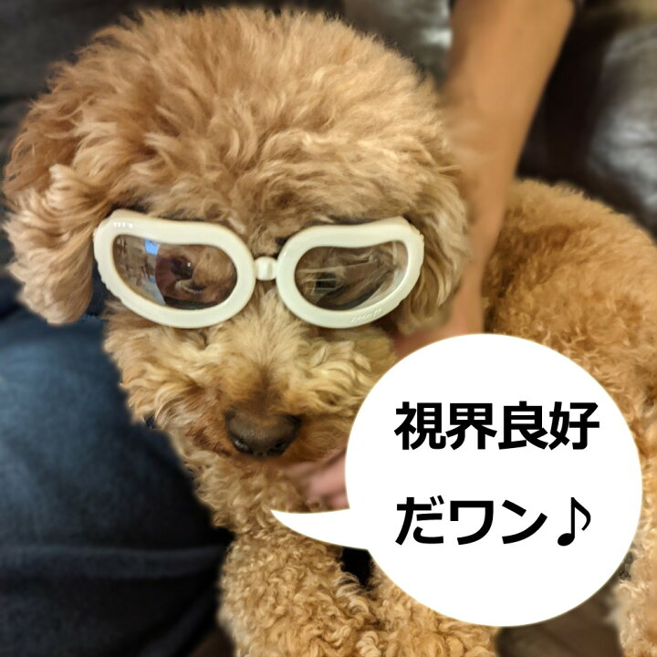 楽天市場 目を保護 かわいい小型犬用ゴーグル ドッグゴーグル 犬用サングラス ペットゴーグル キャットゴーグル 紫外線対策 車酔い対策 送料無料 トイプードル ミニチュアダックス シーズー ビーグル クリスマス ギフト プレゼント 贈り物 ツーリング ドライブ 定形外