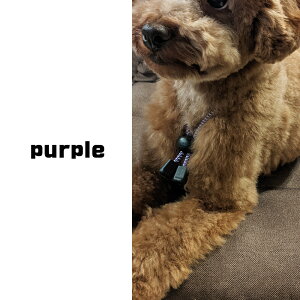 ÓdCObY  S̓{ Pxˑfގgp pÓdCylbNX  ^ 50cm ÓdC Vv ÓdC΍ ʎ̑΍ ÓdCh~ Č {[_[R[ 