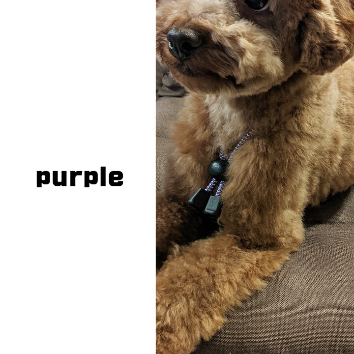 楽天市場 高輝度反射素材使用 犬用静電気軽減ネックレス 首輪 中型犬 50cm 静電気除去 Goodデザイン シンプルおしゃれ 静電気対策 交通事故対策 静電気防止 柴犬 ボーダーコリー ビーグル ボストンテリア スピッツ ブルドッグ ワンちゃん ペット用 定形外郵便発送 送料 楽天市場 高輝度反射素材使用 犬用静電気軽減ネックレス 首輪 中型犬 50cm 静電気除去 Goodデザイン シンプルおしゃれ 静電気対策 交通事故対策 静電気防止 柴犬 ボーダーコリー ビーグル ボストンテリア スピッツ ブルドッグ ワンちゃん ペット用 定形外郵便発送 送料