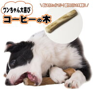コーヒーウッド 小型犬用 ガジガジ遊びで歯にうれしい習慣 犬の噛むおもちゃ 無添加 100%ナチュラル 天然…
