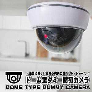 _~[J hƃJ h[^ h[  h ^ ԃCg_ Ď ĎJ V ݒu  Њd  h~ C^Y N sR }~   X  le lC dr