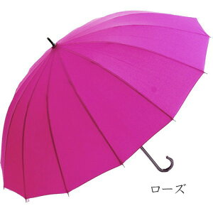 p IV16{ ϕ P 58Z` ^b` OXt@Co[ PJ JP ~J RpNg ʋΒʊw  [  NX}X Mtg v[g 蕨