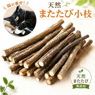 TVで話題のまたたび ランキング入賞 猫ちゃん大興奮 天然 またたびの小枝 猫用おもちゃ 天然またたびステ…