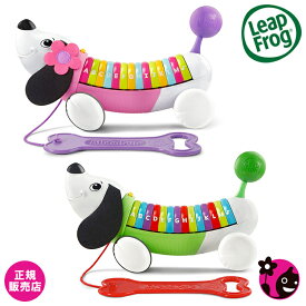 【正規販売店】【リープフロッグ】アルファパップ【Leap Frog】【知育玩具 / おもちゃ / 赤ちゃん / ベビー / 英語 / 学習 / 音楽 / 犬 / アルファベット】