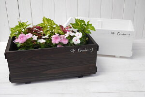 v^[Jo[450^yؐJo[zK[fjO@v^[@ؐ@Jo[