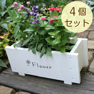 Xv^[350 y4Zbg9,000~zK[fjO@ؐ@v^[@ؐv^[@yYz