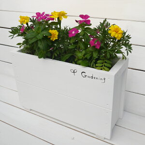 fB[vv^[450^ `[bv̋A݂܂傤yԂɒuzLтĂvy[^zySSvȍYizK[fjO@v^[@ؐyؐv