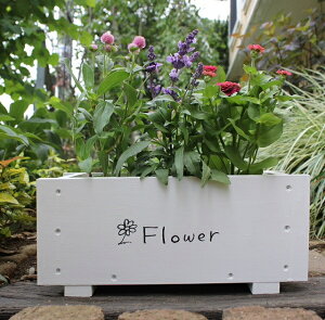 yPizXv^[350yؐv^[zyK[fjOzyYz