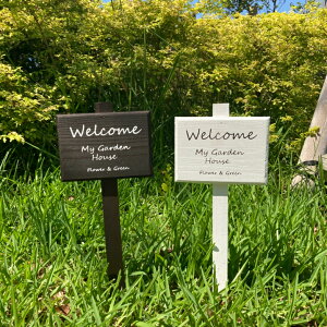 yؐK[fsbNEXNGAzԂ̃TCsbN60AɏTCY荠iŐVoIIꏊƂ炸A邱Ƃł܂B