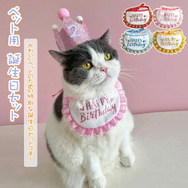 ＼3点セット／犬 誕生日 帽子 スタイ 被り物 誕生日グッズ 3点セット 数字付き 猫 クリスマス ペット服 飾り バースデー 誕生日グッズ タオル 犬 帽子 バースデーグッズ ハットペット用 誕生日セット