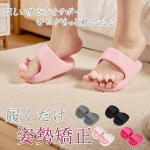 _CGbgXbp 5{wA[`Xbp fB[X _CGbg Xbp [V[Y Xbp 􂦂 ̊  NT_ 킢  r p ނ }bT[W c