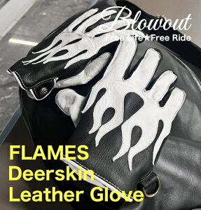 eF Blowout ~ tCX U[O[u t[X {v   fBAXL  n[[ oCJ[ `bp[ t@C[ EC^[ H~