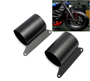 n[[ X|[cX^[S [tH[NJo[@[bOJo[ Sportster S1250 S RH1250S 2021 2022