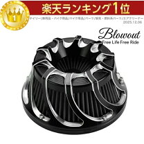 楽天市場】xl1200 エアークリーナーの通販